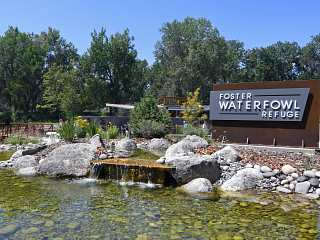 In its nature: Highlighting <span class="nowrap">Phillips 66</span>’s conservation efforts